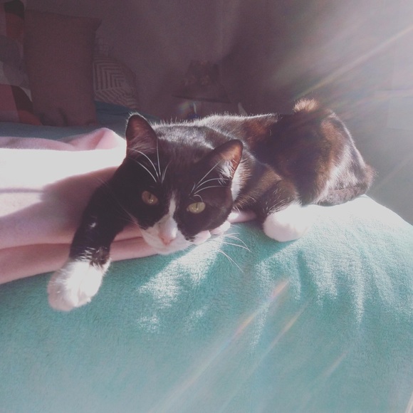 Meet your Posher - Picture 7 of 7